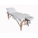 Pro Series Limited Edition Portable Massage Table, Bed with Reclineable Back